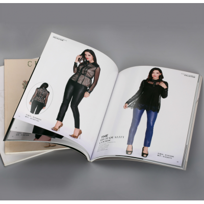 Free Sample Brochure Designs/ Book,Flyers,Leaflet,Catalogue,Brochure,Magazine